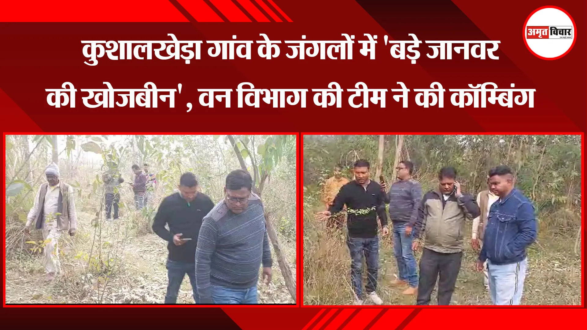 उन्नाव: कुशालखेड़ा गांव के जंगलों में 'बड़े जानवर की खोजबीन', वन विभाग की टीम ने की कॉम्बिंग