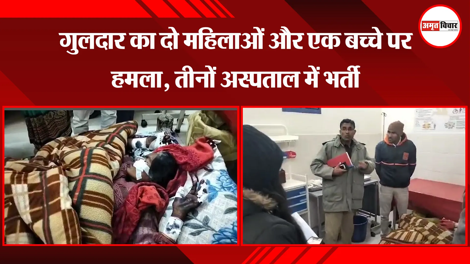 बिजनौर: गुलदार का दो महिलाओं और एक बच्चे पर हमला, तीनों अस्पताल में भर्ती