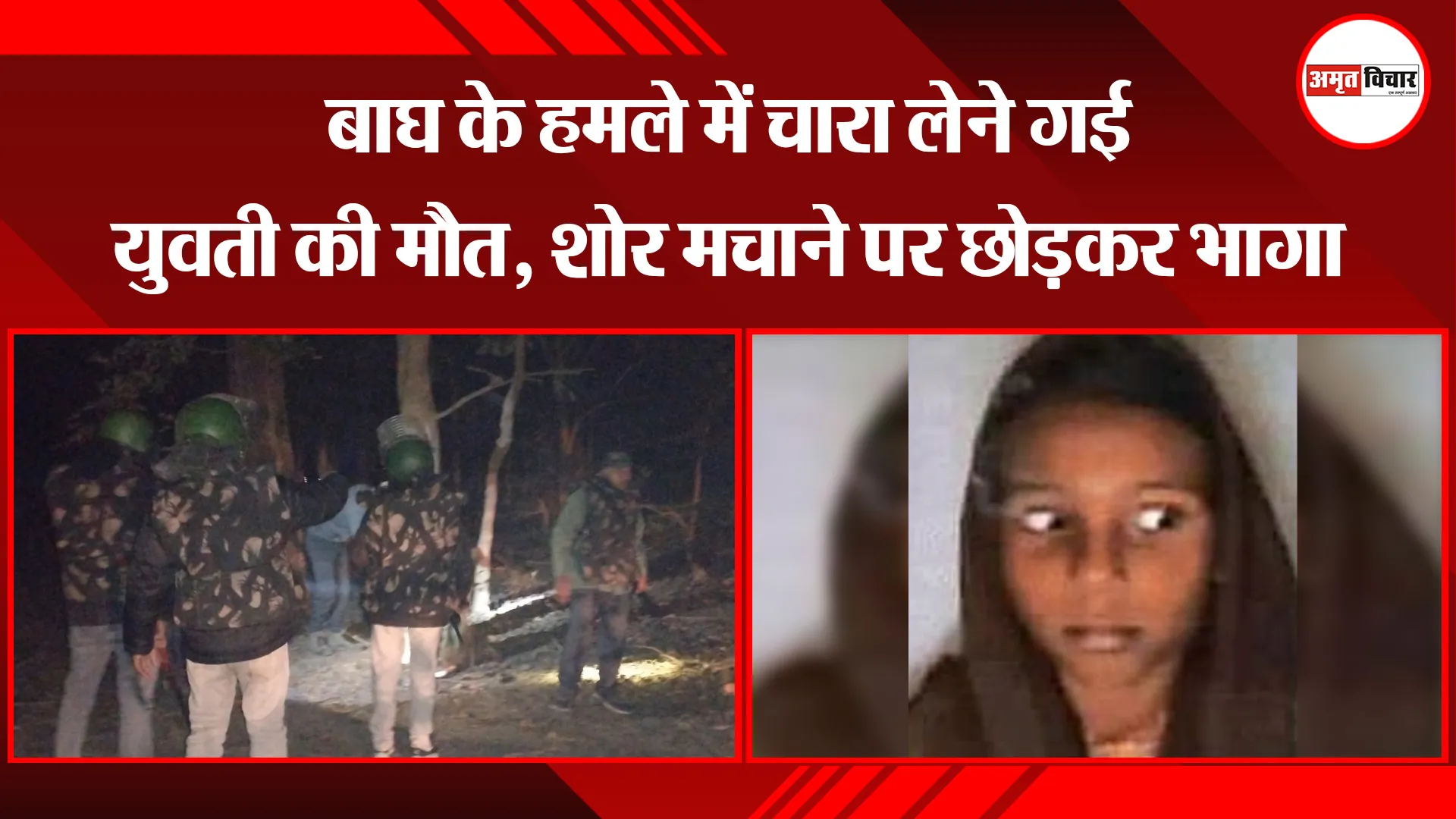 बिजनौर: बाघ के हमले में चारा लेने गई युवती की मौत, शोर मचाने पर छोड़कर भागा