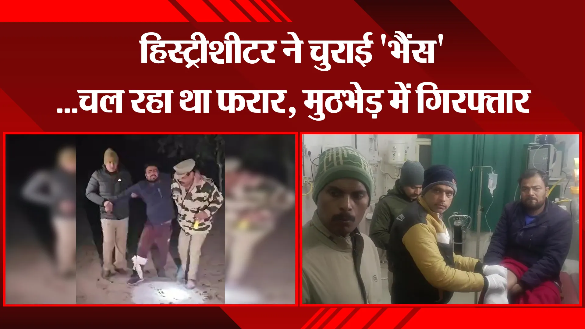 कासगंज: हिस्ट्रीशीटर ने चुराई 'भैंस'...चल रहा था फरार, मुठभेड़ में गिरफ्तार