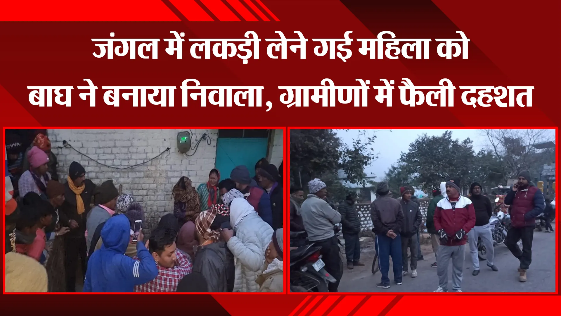 रामनगर: जंगल में लकड़ी लेने गई महिला को बाघ ने बनाया निवाला, ग्रामीणों में फैली दहशत