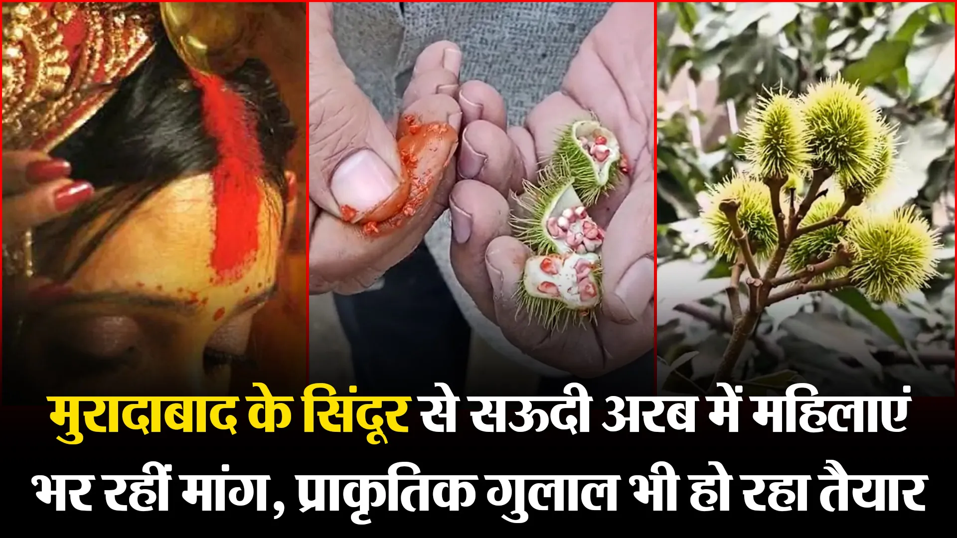 मुरादाबाद के सिंदूर से सऊदी अरब में महिलाएं भर रहीं मांग, प्राकृतिक गुलाल भी हो रहा तैयार