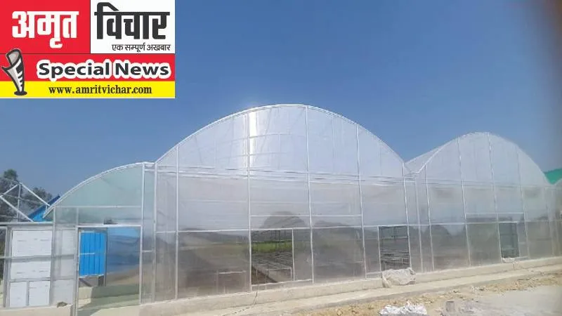 रायबरेली: इजराइल मॉडल पर बनी हाईटेक नर्सरी अन्नदाताओं के लिए वरदान, सिर्फ 2 रुपये में किसानों को मिलेंगे पौधे