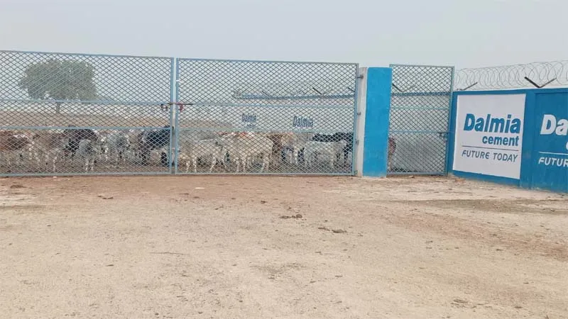 मिर्जापुर: छुट्टा घूम रहे निराश्रित गोवंश को ग्रामीणों ने बनाया बंधक, हड़कंप