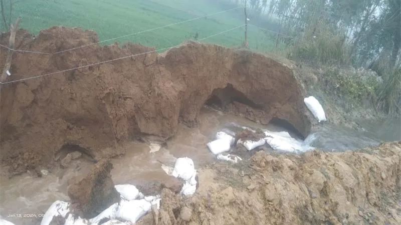 बाराबंकी: माइनर कटने से खेतों में हुआ जलभराव, पचास बीघा फसल नष्ट होने की आशंका, हड़कंप