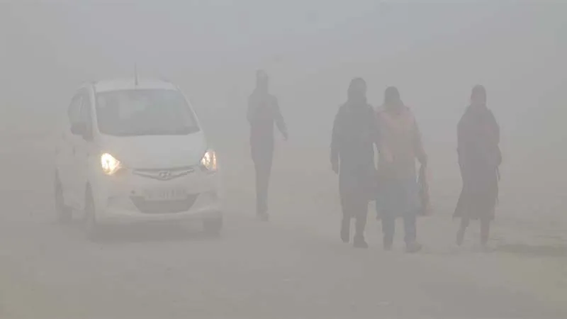 रायबरेली: सर्दी से राहत की उम्मीद कम, पाला पड़ने से किसान परेशान 