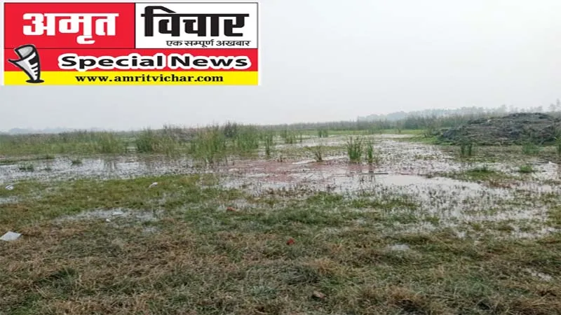 रायबरेली: राजनीतिक मंच तक सीमित रहे बकुलाही झील की सफाई के सियासी दावे, किसानों की नहीं सुनी किसी ने फरियाद!