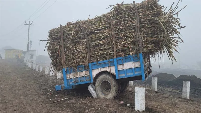 बहराइच: सड़क हादसों में महिला समेत दो की मौत, पति घायल