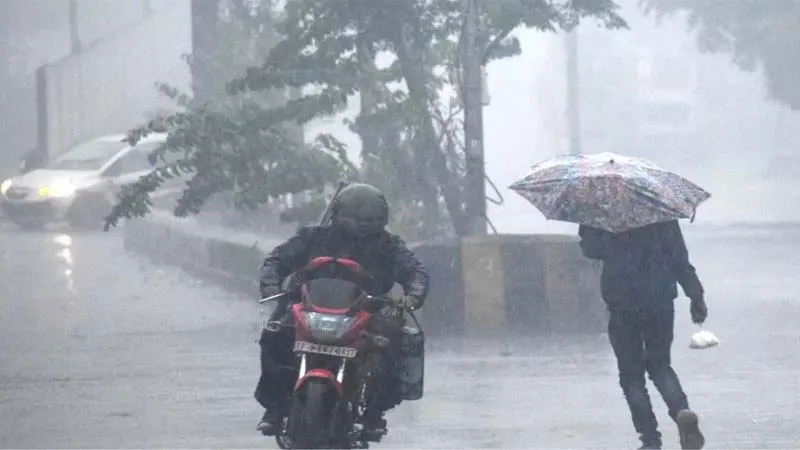 प्रयागराज: ठंड और शीतलहर के बीच हुई बारिश ने बढ़ाई गलन, ठिठुरते दिखे लोग