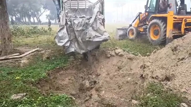 बहराइच: भारी मात्रा में प्रतिबंधित थाई मांगुर मछली बरामद, सहायक मत्स्य निदेशक ने बिना कार्रवाई के गड्ढे में दफनवाया