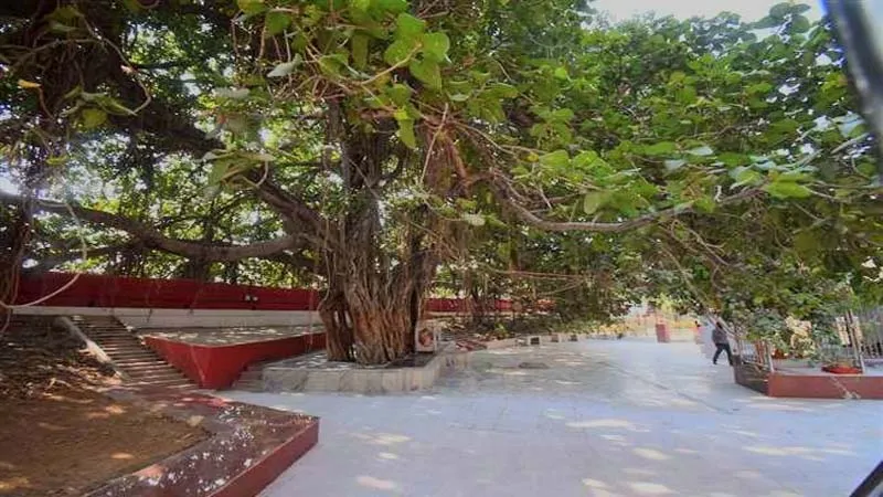 प्रयागराज: मनकामेश्वर की महिमा का स्वयं प्रभु श्रीराम ने किया था गुणगान, इसी अक्षयवट के नीचे किया था विश्राम