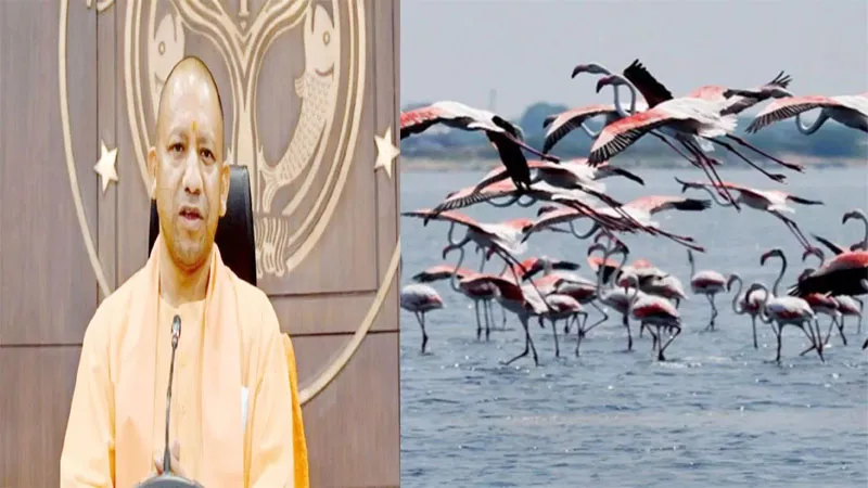 नेचर एवं बर्ड फेस्टिवल का आयोजन कराएगी योगी सरकार, उन्नाव पक्षी विहार से होगी शुरुआत