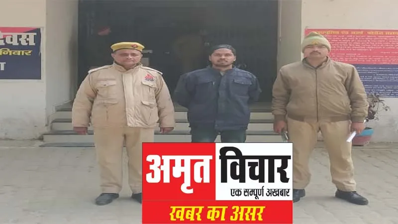 संतकबीरनगर: तमिलनाडु में बैठकर चलाता था प्रवासी पंक्षियों की तस्करी का गैंग, सरगना समेत चार को पुलिस ने पकड़ा