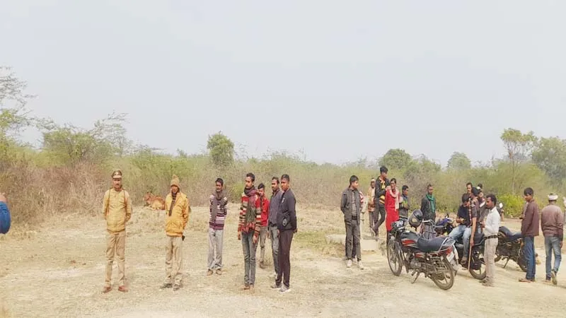 बाराबंकी: जंगली जानवर ने बकरी को बनाया निवाला, तेंदुए की आशंका से ग्रामीणों में खौफ