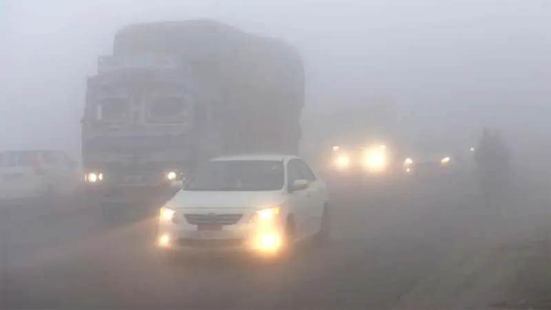 बलरामपुर: घना कोहरा बन रहा काल, सड़क दुर्घटना में एक मरा, सात घायल, कोहराम