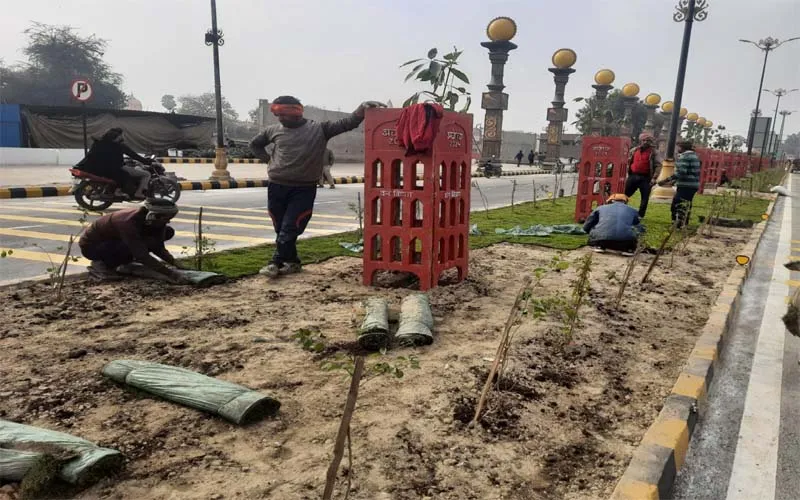 अयोध्या: धर्मपथ की खूबसूरती में चार चांद लगाएंगी कोलकाता की घास