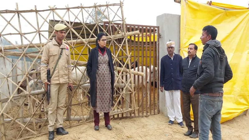 मवेशियों को चारा देते समय बनाएं वीडियो, गौ आश्रय स्थल पर तैनात कर्मियों को समय से मिले मानदेय: डीएम