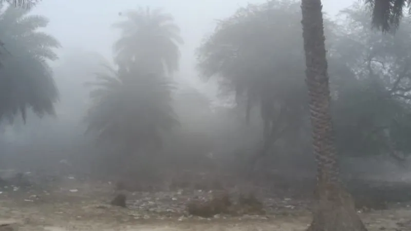 Kanpur Weather Today: बारिश ने बढ़ाई सर्दी… तेज हवाएं चलने से बढ़ी गलन, कल से तेज धूप निकलने के आसार