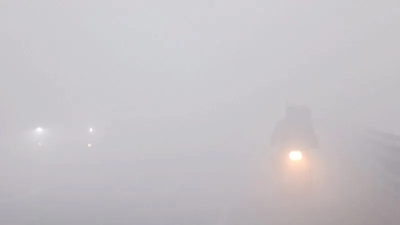 Weather News Today: कोहरे से नए साल की अगवानी… शीतलहर से ठिठुर रहे लोग, मौसम विभाग ने दी ये चेतावनी