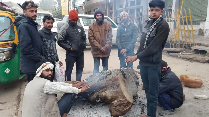 Auraiya Weather News: मौसम ने दिखाए तेवर, बर्फीली हवाओं से कांपे लोग, कोहरे में लाइट जलाकर सड़कों पर चले वाहन