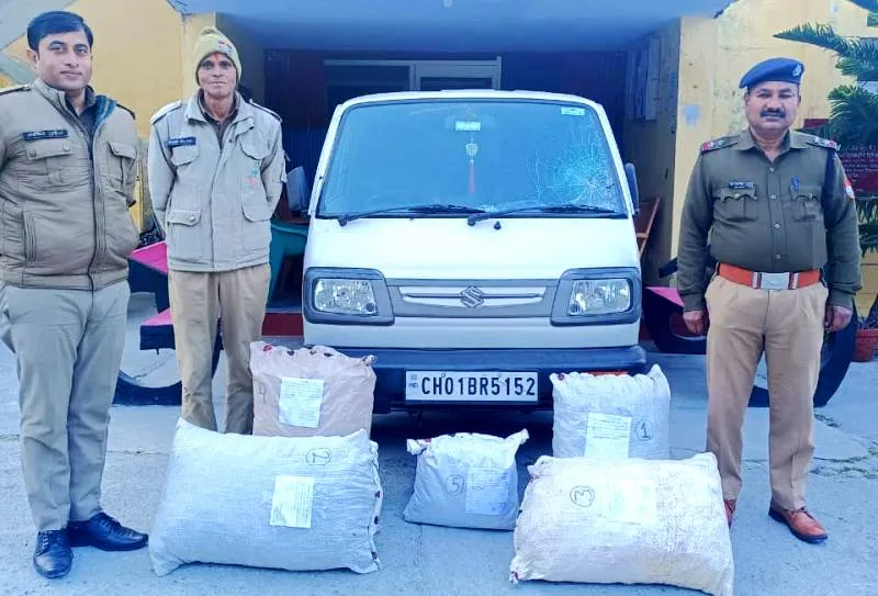 अल्मोड़ा: मारूति वैन से बरामद किया लाखों रुपये का गांजा