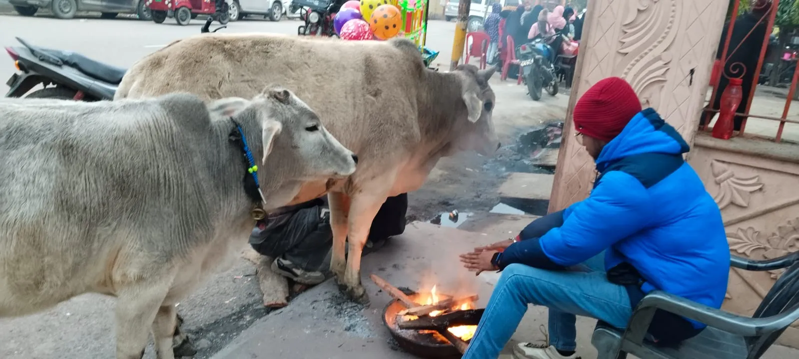 WhatsApp Image 2024-01-17 at 7.14.50 PM (2)