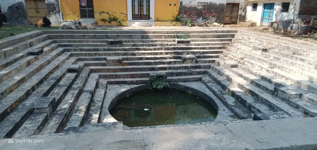 WhatsApp Image 2024-01-17 at 7.26.07 PM