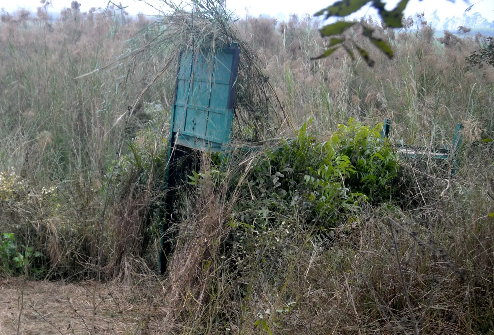 WhatsApp Image 2024-01-18 at 6.04.28 PM (1)