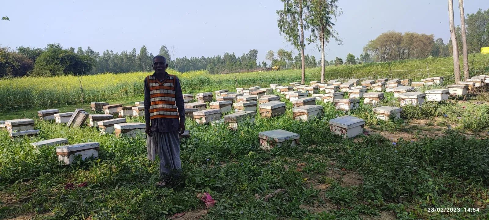 शाहजहांपुर: शहद से जीवन में मिठास घोल रहे जिले के किसान, आम खेती की तुलना में अच्छी आमदनी