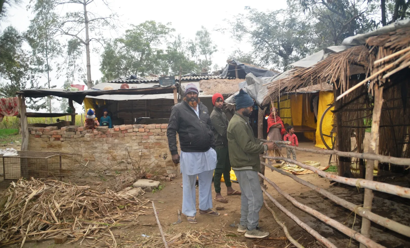 पीलीभीत:  बाघिन की दहशत.. दो परिवारों की मुसीबत में जान, बिना दरवाजे के घर पर लगाए तख्त, जिम्मेदारों ने खाबड़ लगाई न किए सुरक्षा के इंतजाम