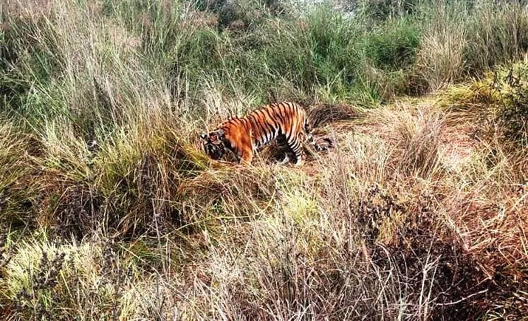 पीलीभीत: 72 घंटे बीते... दारोमदार निगरानी टीमों पर, अफसर झांकने तक नहीं पहुंचे