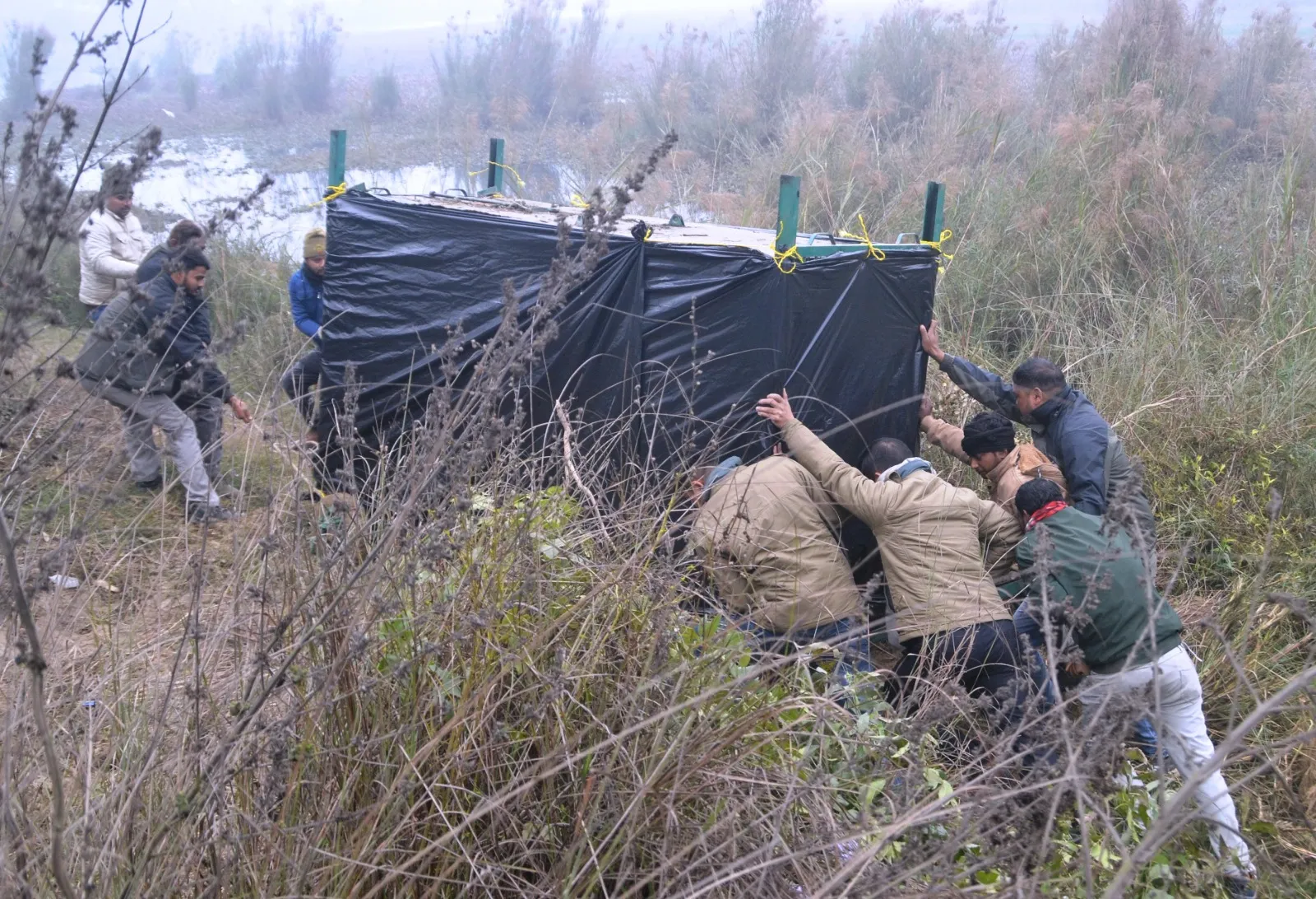 पीलीभीत: बिगड़ैल बाघिन ने खूब फैलाया आतंक, 88 घंटे और 8 शिफ्टों की निगरानी के बाद खुद हो गई कैद