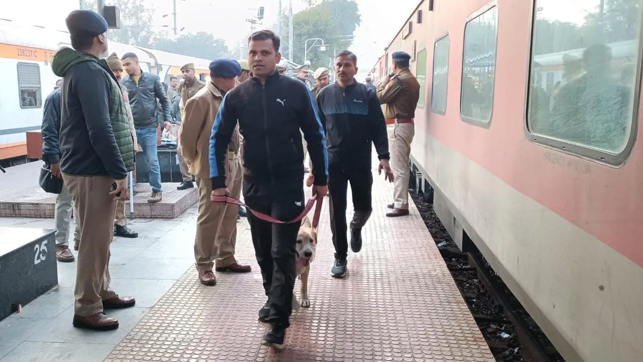 WhatsApp Image 2024-01-25 at 11.13.03 PM