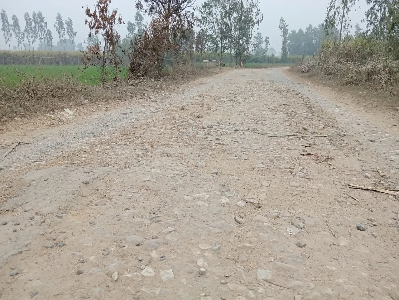 WhatsApp Image 2024-01-28 at 5.41.37 PM