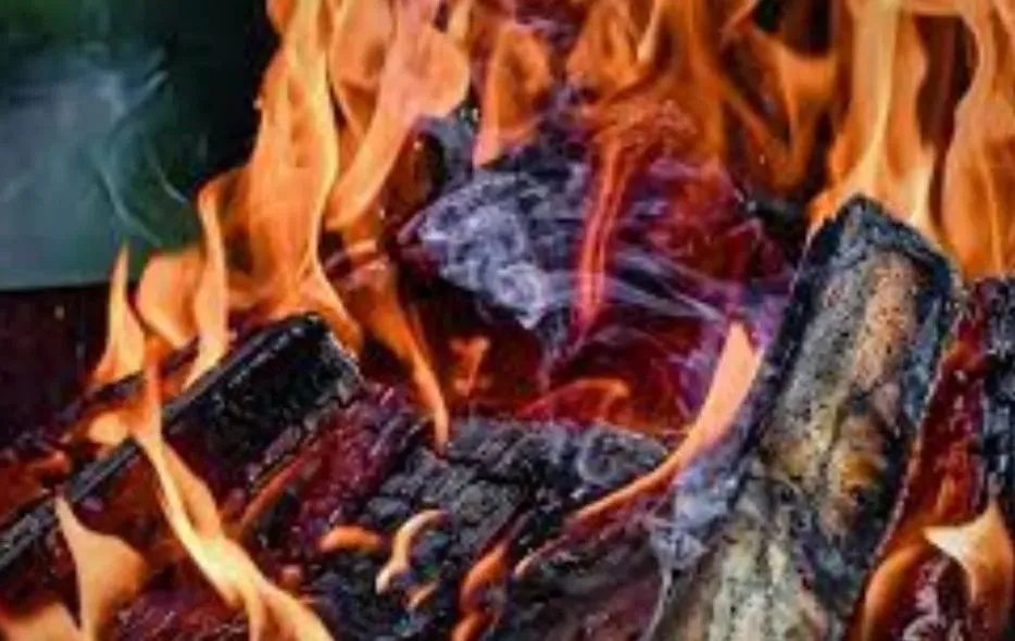 अंगीठी का धुंआ बना काल, दिल्ली में दम घुटने से एक परिवार के 4 लोगों समेत 6 की मौत