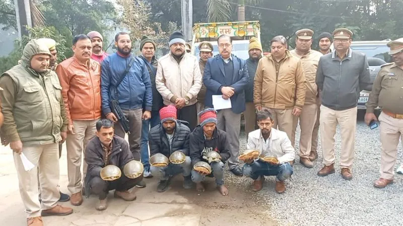 Etawah: वन विभाग व STF की टीम ने पकड़े चार तस्कर; 745 जीवित कछुए बरामद, बाजार में करोड़ों रुपये कीमत....
