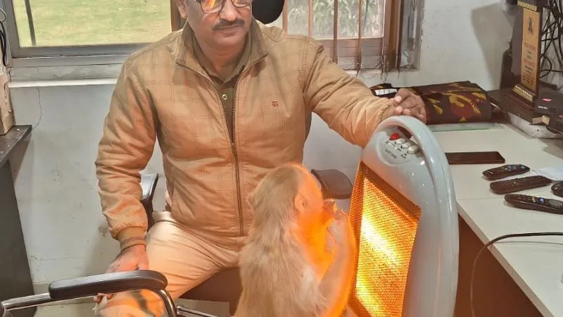 Kanpur News: पुलिस का मानवीय चेहरा; ठंड से कंपकंपाते बंदर को हीटर के सामने बैठाया, बिस्कुट खिलाया..देखें वीडियो..