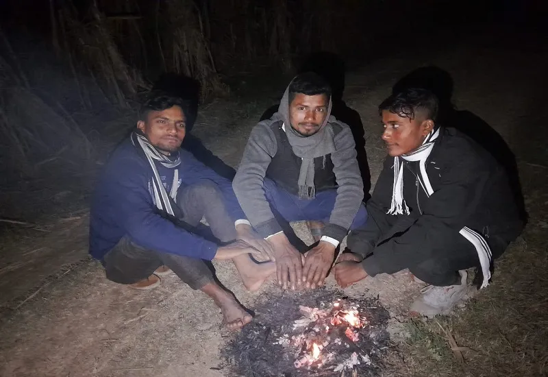 अमरोहा : छुट्टा पशुओं के डर से सर्द रातों में खेतों की रखवाली कर रहे किसान, फसल बचाएं या जान