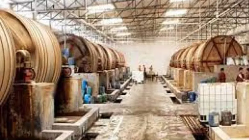 Kanpur: माघ मेला पर बंदी से संकट में लेदर इंडस्ट्री… कारोबारी आक्रोशित, बोले- सूखा काम करने वाले उद्योगों के लिए फैसला हो वापस