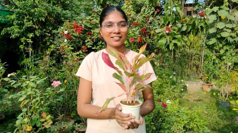 Auraiya News: प्रधानमंत्री नरेंद्र मोदी करेंगे 27वें राष्ट्रीय युवा उत्सव का उद्घाटन, नेहा कुशवाहा को मिला आमंत्रण..