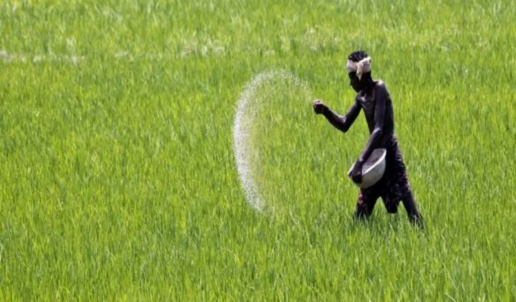 यूरिया का वजन एक बार फिर घटा, अब 45 किलो की जगह 40 किलो का होगा बैग