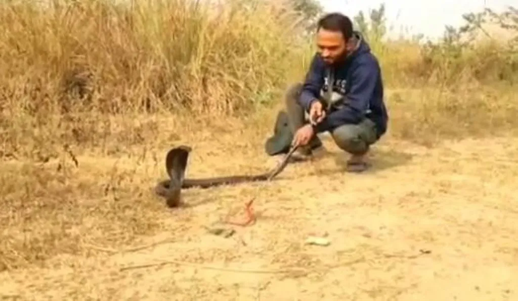 शे4