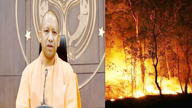लखनऊ: गर्मियों में जंगलों में आग लगने की घटनाओं पर योगी सरकार चिंतित, छोटी आग की खबर पर रखी जाएगी पैनी नजर! 