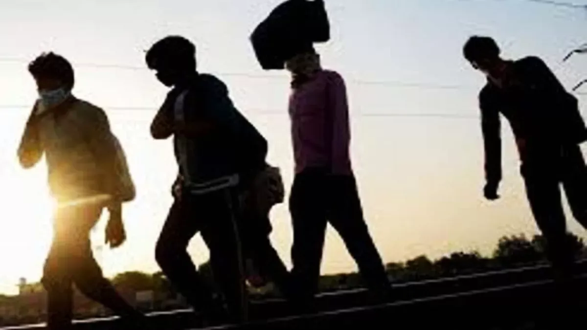 लखीमपुर खीरीः इजराइल जाने के लिए 52 श्रमिकों का हुआ चयन, चयनितों का होगा मेडिकल टेस्ट और पुलिस वेरिफिकेशन
