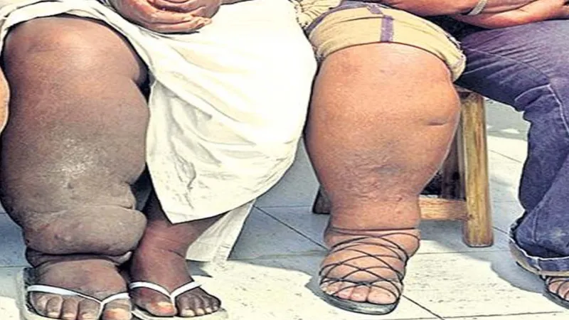 12 - 2024-02-09T152658.065