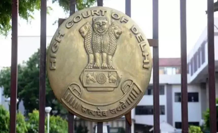 बच्चा गोद लेने का अधिकार मौलिक अधिकार नहीं: दिल्ली हाईकोर्ट