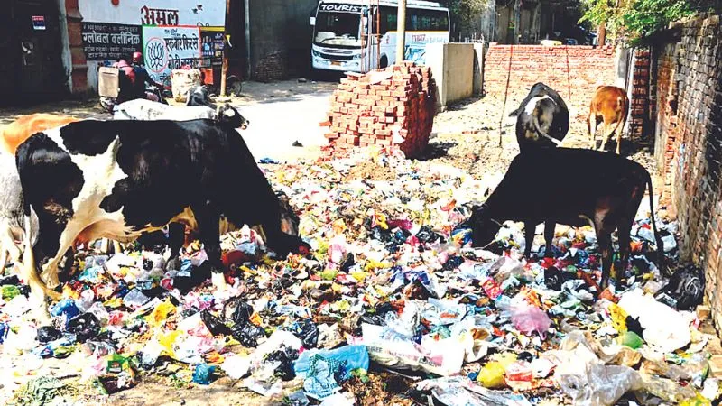 Kanpur News: शहर में स्मार्ट कूड़ाघर बनाने का काम कई जगह अटका; ये वजह आई सामने... जानें मामला 