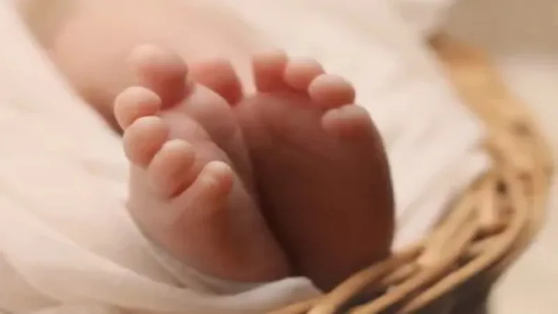 झाड़ियों में बेहोश मिली 48 घंटे पहले जन्मी बच्ची, फायर फाइटर ने सीएचसी में भर्ती करा बचाई जान 