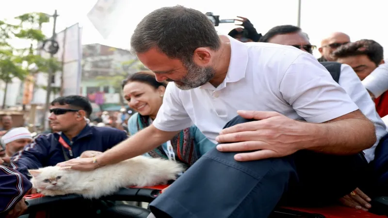 प्रतापगढ़ में बिल्ली को पुचकारते दिखे राहुल गांधी, युवाओं से किया संवाद  