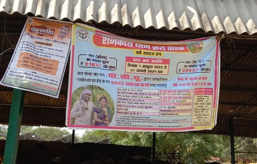 शाहजहांपुर में आंकड़ों की बाजीगरी, सीजन में 15 और ऑफ सीजन में 65% धान खरीद... अब उठ रहे सवाल